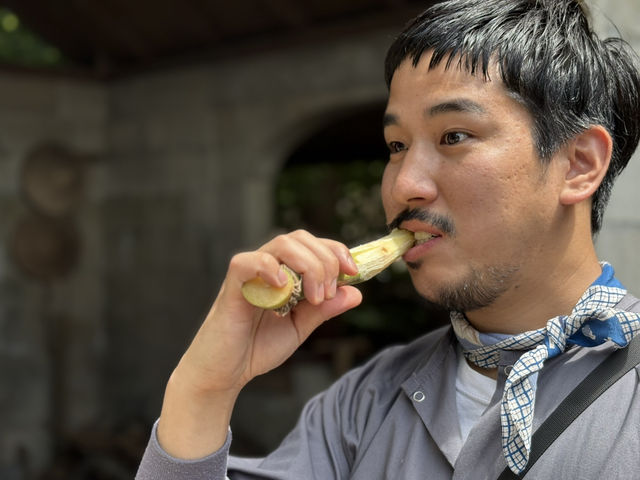 【久米島】サトウキビをかじる!? 黒糖づくり体験が最高だった🌿🍬