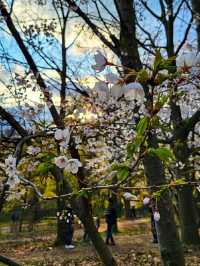 High Park – Where Nature Meets the Heart of Toronto