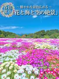 【福岡】博多湾に浮かぶ花の楽園！春色の絶景ピクニック🌼🏝️💖