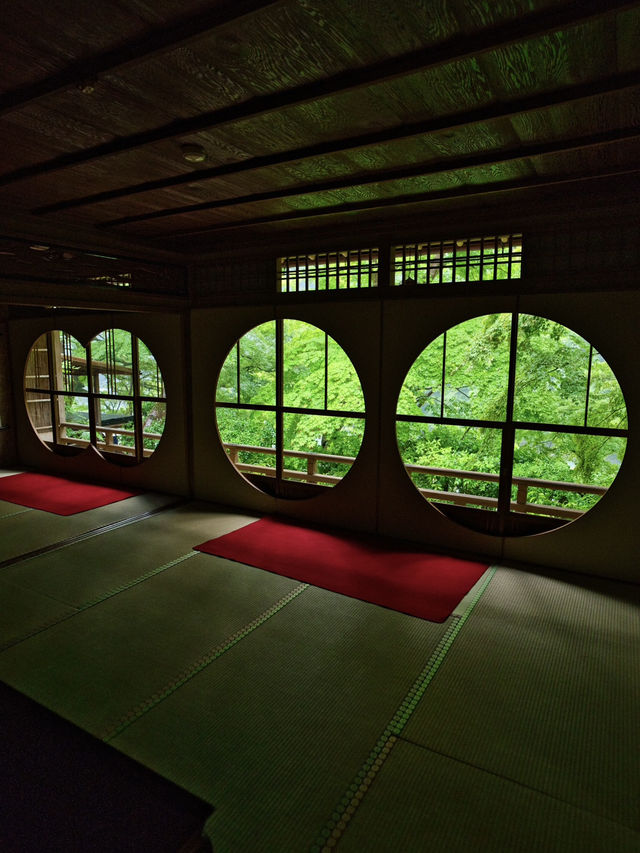 【雨でも楽しめる室内絶景】「水鏡」の絶景に息をのむ🌿💧✨※周辺観光情報付