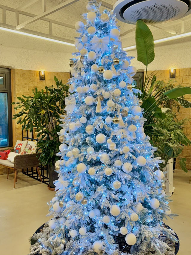 크리스마스 카페 중 최고 🎄