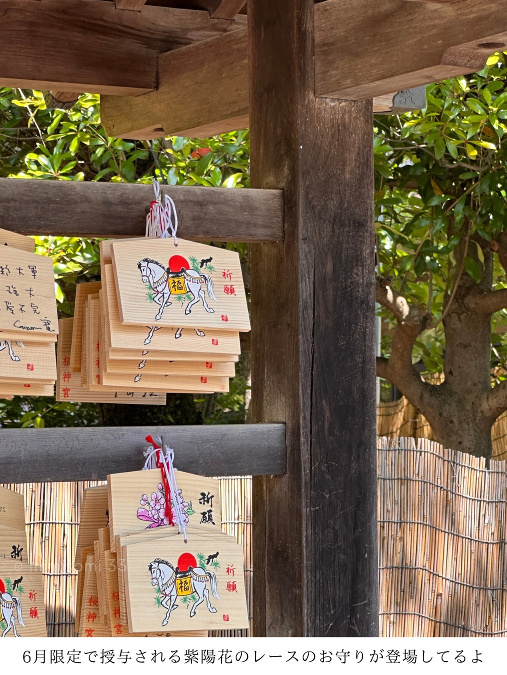 東京世田谷区】河津桜で有名な神社のレースのお守り！6月限定あじさい