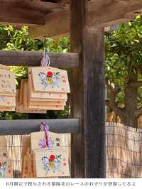 【東京世田谷区】河津桜で有名な神社のレースのお守り！6月限定あじさい柄が桜神宮に登場♡ご朱印&華手水も紫陽花verに