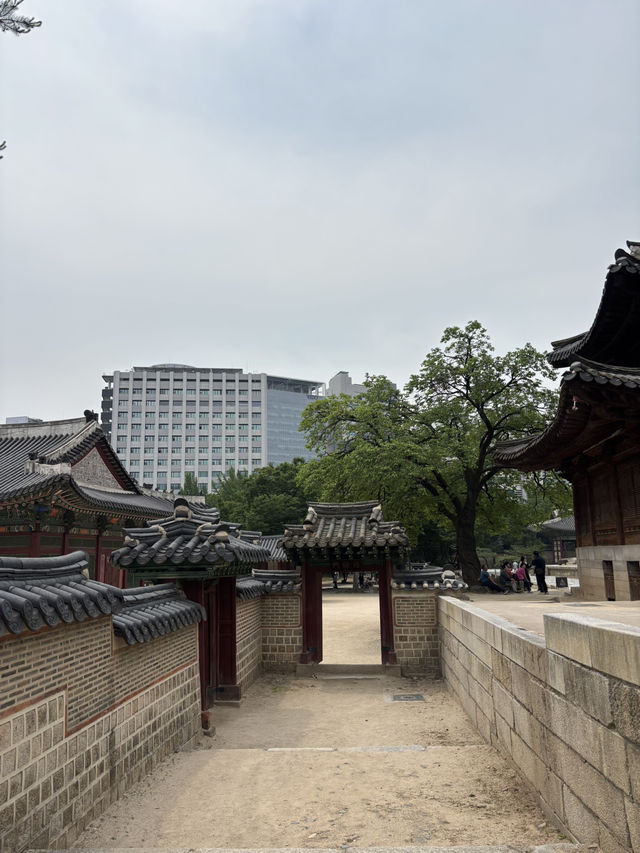더운여름 시원하게 산책하기 좋은 서울길🙇‍♂️