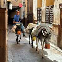 🏺✨ Chouara Tannery, Fez: A Sensory Journey Into Morocco’s Leather Hear