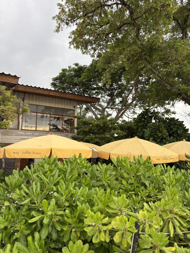 Way Coffee House คาเฟ่ริมทะเล