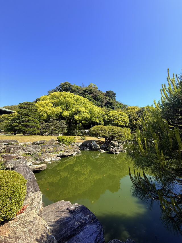 德島｜藩主怪力踩斷青石 絕美千秋閣潮汐庭園枯山水交融