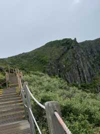 한라산의 초여름