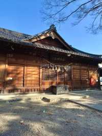 A Day of Art and Serenity in Matsumoto, Japan 🏞️🖌️