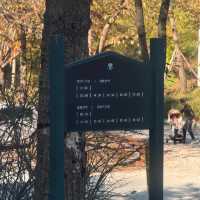 🌿 Near-Seoul Oxygen Boost at Jade Garden!🌼