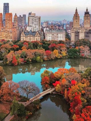 truly a magical escape right in the heart of New York City