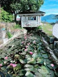 Serene Summer Morning at Khas Parapat Hotel – Day 2 Delight