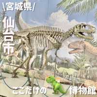 激安🦖✨️見応え抜群博物館