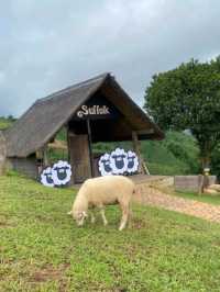 Akha Farmville