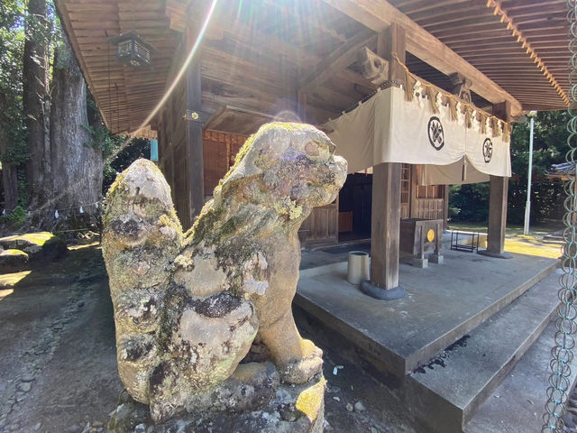 鳥取🇯🇵 歷史趣 ✨ 倉田八幡宮 ✨