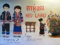 Hilltribe Museum in Chiang Rai on a super chill budget trip👫😎💐