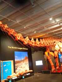 Brisbane's FREE Museums - My Day Out! 🏛️