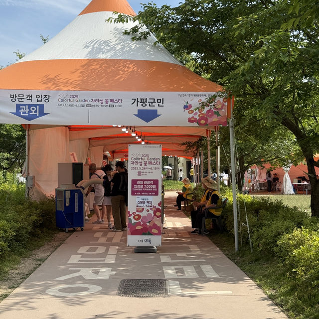 지금 당장 가야하는 자라섬 꽃🌺 페스타 ~2025.06.14