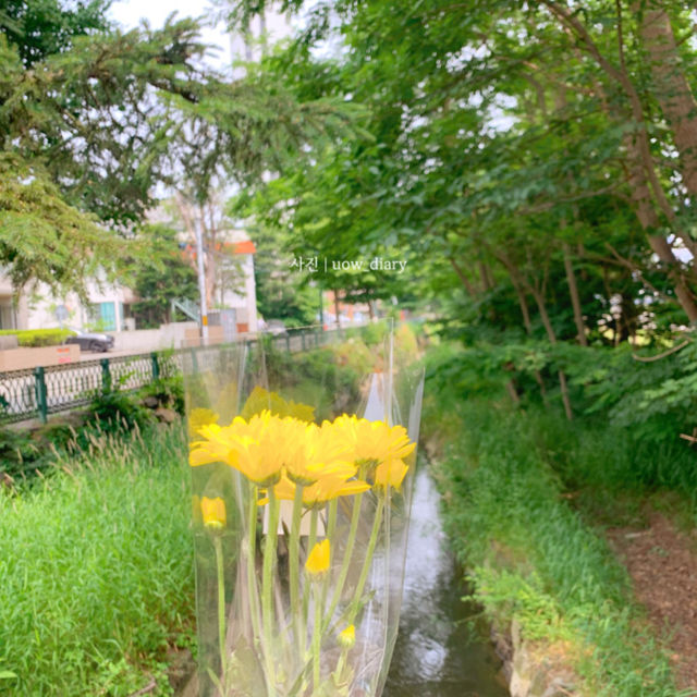 삿포로 여름, 푸르른 나카지마공원🌳💛