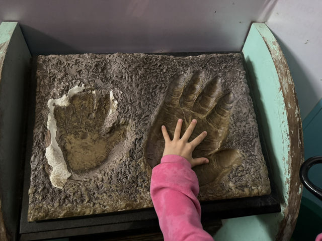 A Great Day at Shanghai Zoo