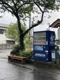 a day trip to aso kumamoto