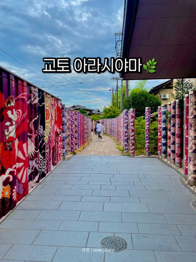 교토 아라시야마, 자연과 전통의 완벽한 조화 🍃
