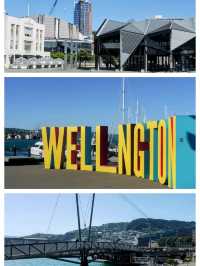 ニュージーランド🇳🇿の首都ウエリントン
