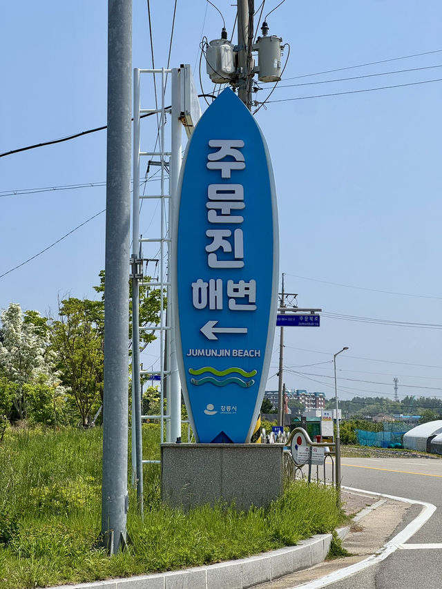 주문진 여행 핫플 필수코스🤩
