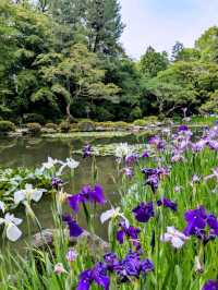 京都 | 平安神宮神苑，彷彿走入莫內的花園