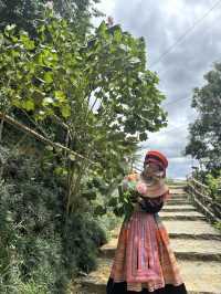 Cat Cat Village: Worth a Visit But Know Before You Go