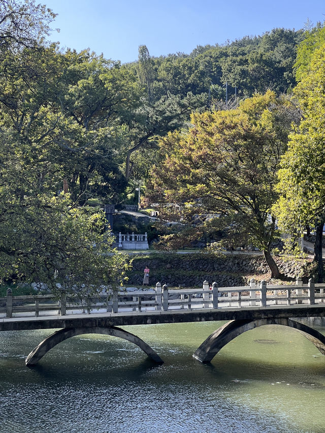 함안 무진정, 악양생태공원 여행코스 추천🩵🩷