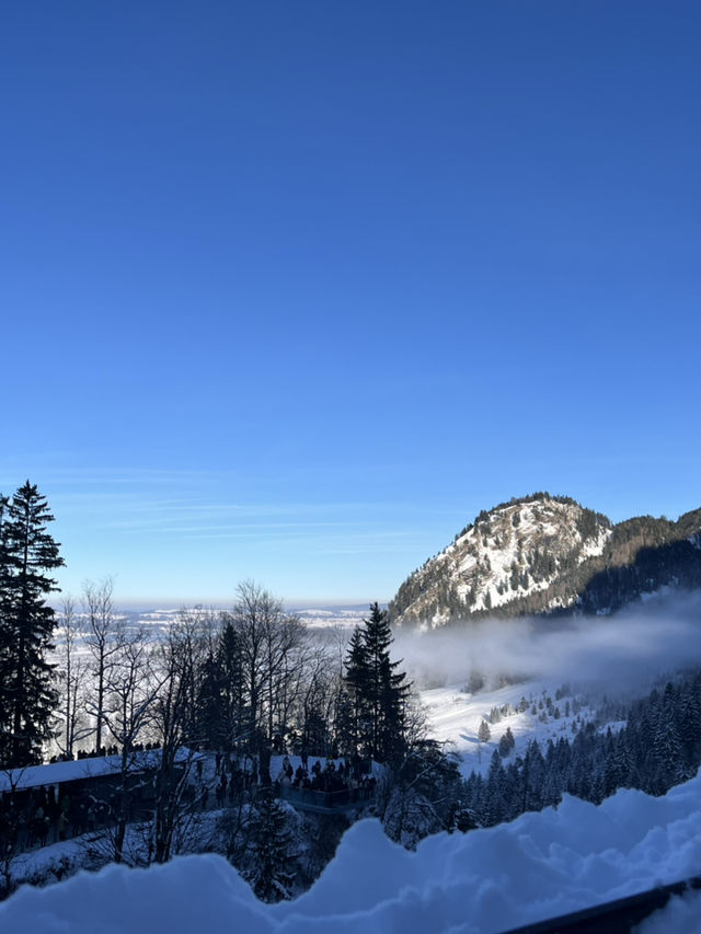 🇩🇪德國必去景點🏰 Neuschwanstein Castle新天鵝堡🦢