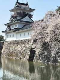 歴史と自然が調和する城下の憩い🌸 富山城址公園で静かなひととき