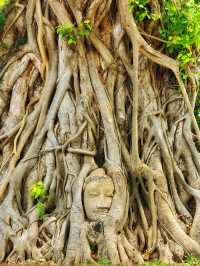 ทริปอยุธยานะออเจ้า