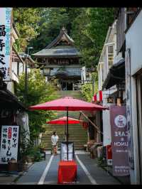 🚂長野・野辺山高原｜標高1,345mの天空リゾートで爽やかトリップ