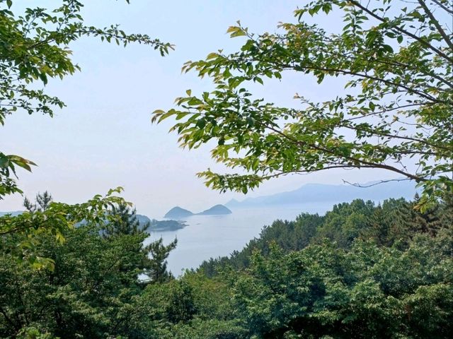 연인과 함께 걷는 로맨틱 공룡 산책로🦕💕