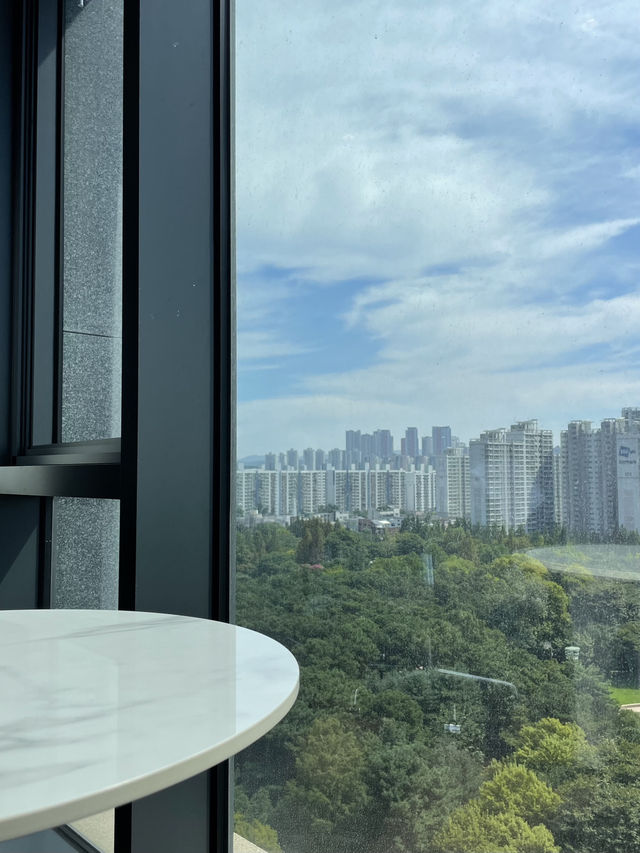 🏨 수원의 도심 속 힐링 호텔, 포포인츠 바이 쉐라톤 수원