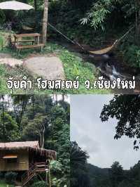 แช่น้ำ เก็บชา นอนฟังเสียงน้ำ เดินป่าระยะสั้น