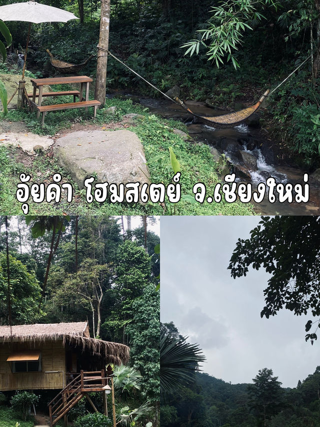 แช่น้ำ เก็บชา นอนฟังเสียงน้ำ เดินป่าระยะสั้น