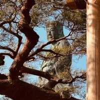 🏯 Kanazawa Castle Summer Survival Guide** *"Where stone walls stay cool and gold leaf shimmers in t