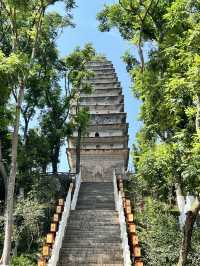 📍Leshan + Mount Emei in a Day – Yes, You Can!