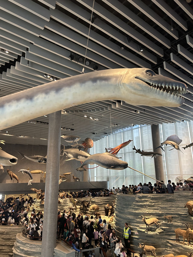 พาเที่ยว พิพิธภัณฑ์ธรรมชาติกลางเซี่ยงไฮ้ 🇨🇳🦖