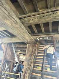 Himeji Castle aka White Heron Castle