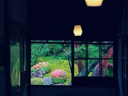 京都🇯🇵青蓮院