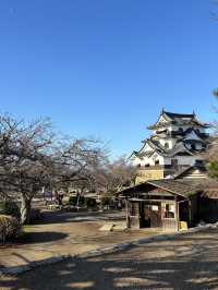日本現存12天守-彥根城