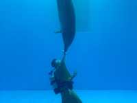 上越市立水族博物館（色調非常漂亮）