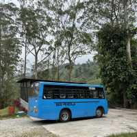 unique experience in a tea plantation & less crowd too!