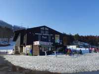 ❄️ Snowy Peaks & Scenic Treats: A Family Day Out at Hakuba Mountain Harbor