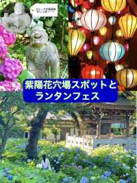 紫陽花穴場スポットと夏のイルミ《ランタンナイト》1日満喫コース