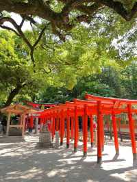 ⛩️ 후쿠오카 도심 속 고요한 신사 – 스미요시 신사